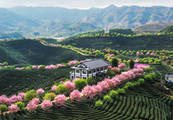 ��ȫ��(gu��)�GɫʳƷһ�����a(ch��n)�I(y��)�ںϰl(f��)չʾ���@�����γ��t ��ƽ�_(t��i)��(chu��ng)�@�ϰ�