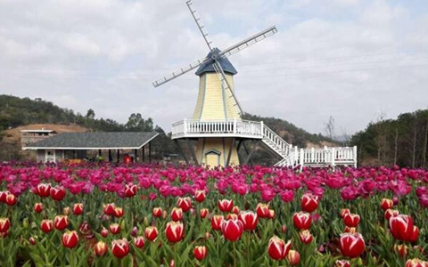 �_(t��i)�r(n��ng)�_(t��i)��Մ31�(xi��ng)��ʩ