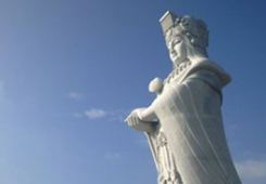 ���������@������Ч���� �����ɰ������Ŀ���