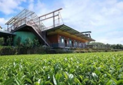 2018���{�ɰ�����W(xu��)�ӹ���֮�ǽ����Ļ��w�I�_�I