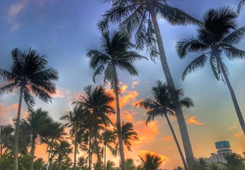 ȫ���_(t��i)��(li��n)��(hu��)�L���������V�������п���