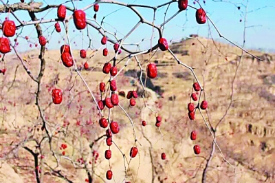 ���˗��r���ٿ��������_��W�W����(chu��ng)�I(y��)�Fꠡ��r�����桱