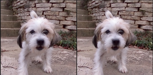 �ȸ��о��T����Magic Leap�����ֵ45�|��Ԫ