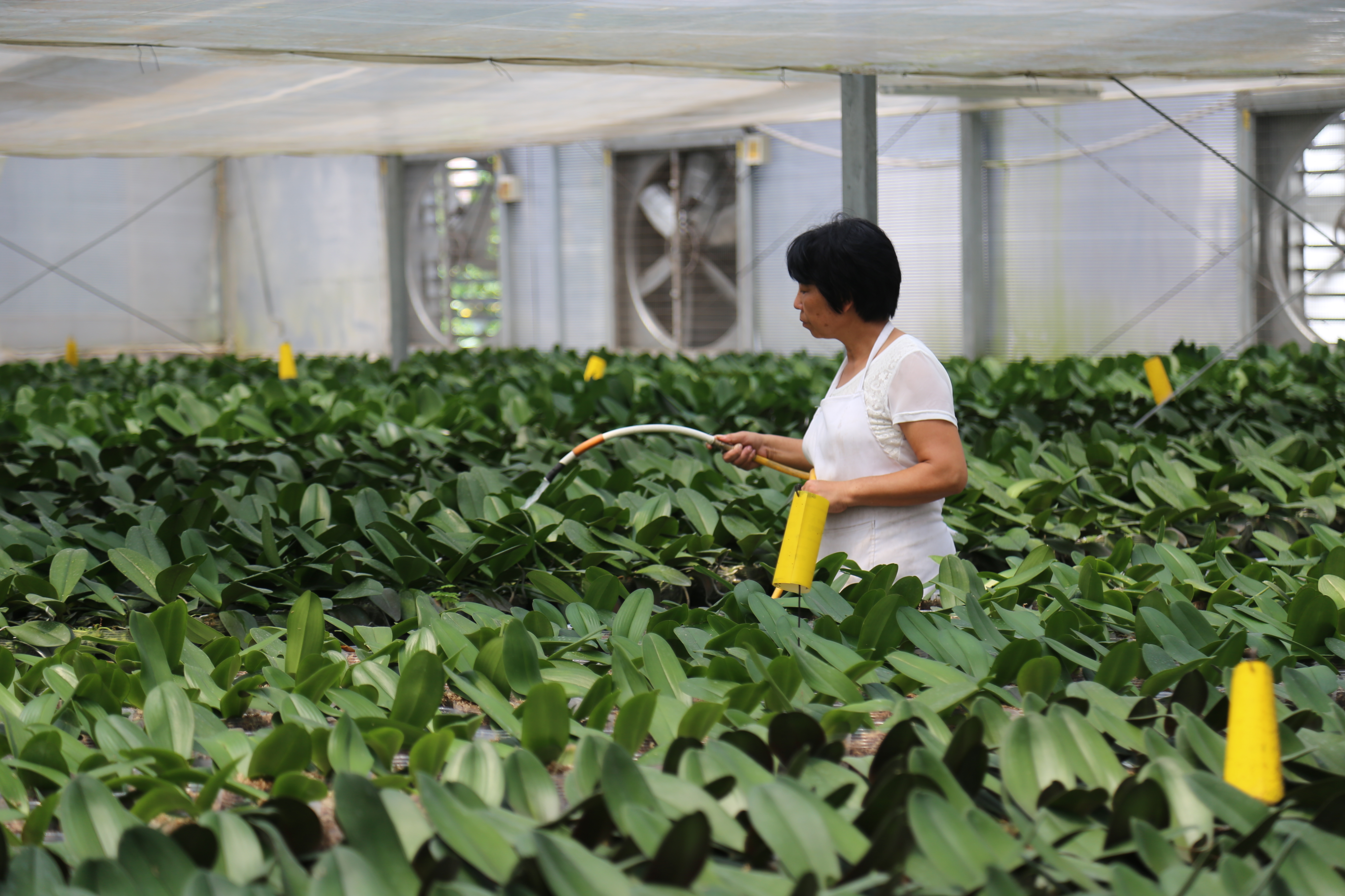 �ɾ��_���r�񄓘I�@���������a�ںϡ��ɳ��mѭ�h�Gɫ�a�I�lչ