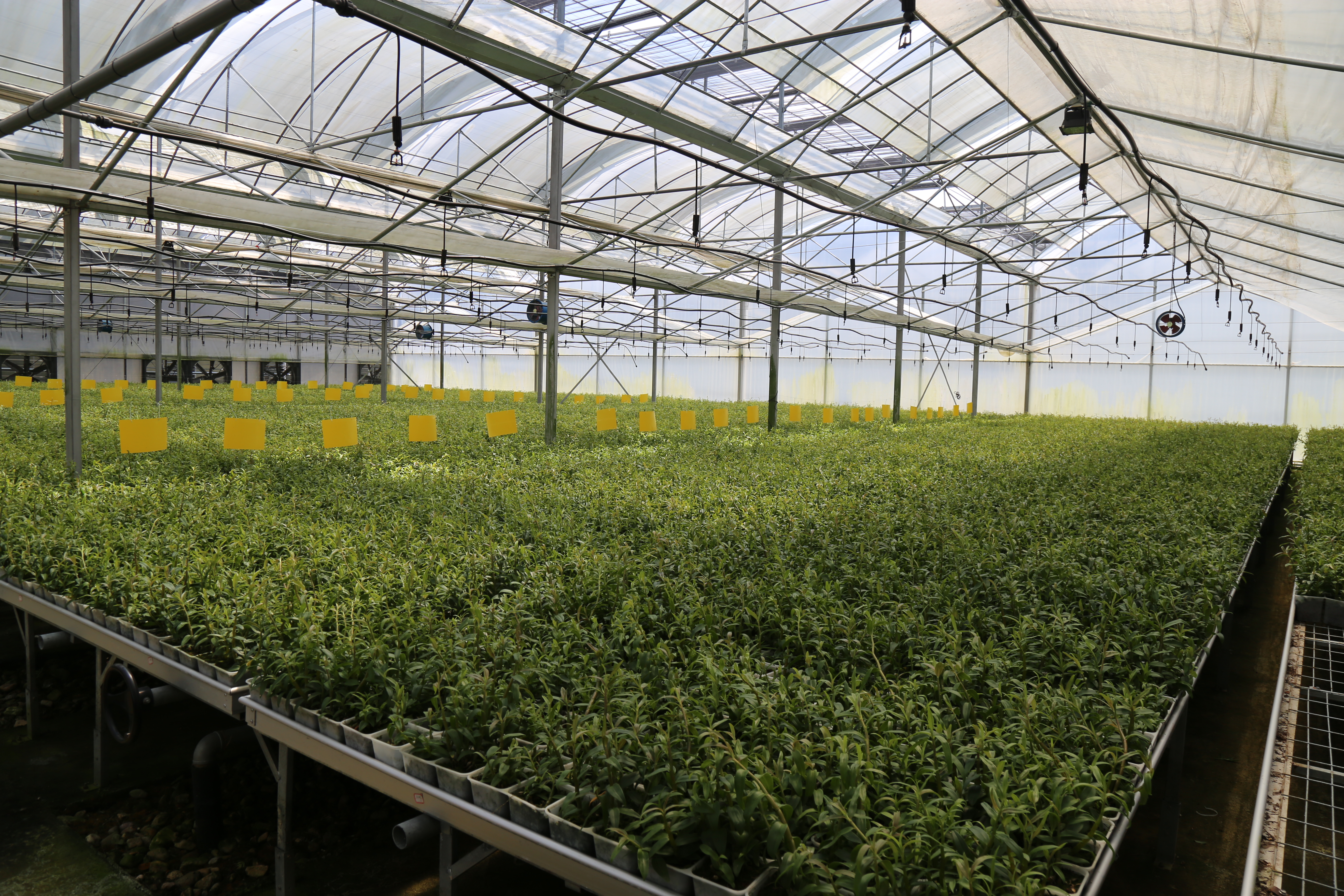 �ɾ��_���r�񄓘I�@���������a�ںϡ��ɳ��mѭ�h�Gɫ�a�I�lչ