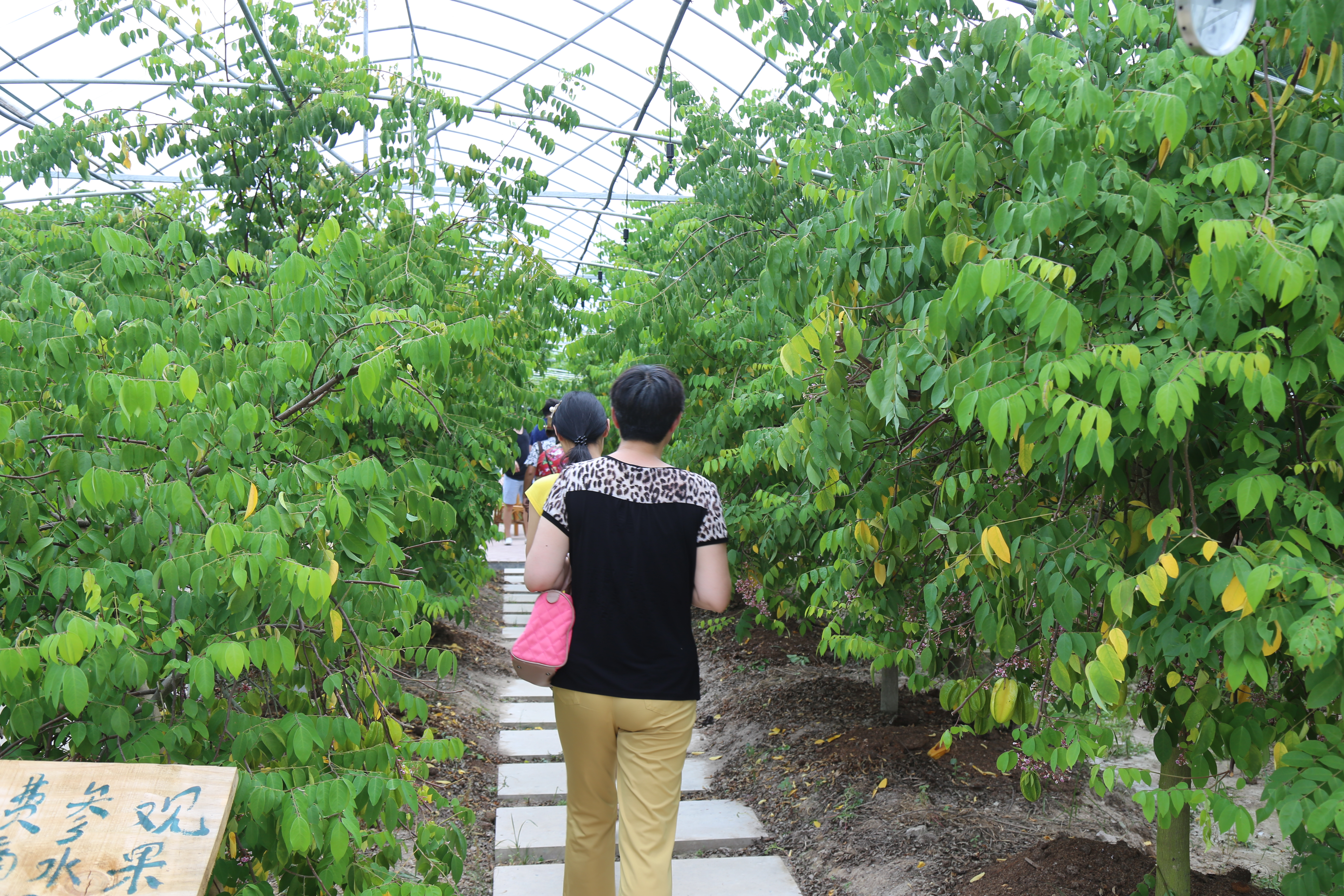 �ɾ��_���r�񄓘I�@���������a�ںϡ��ɳ��mѭ�h�Gɫ�a�I�lչ