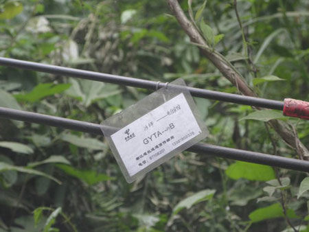 �������Ѕ^�����ɽ悵������;�֏͵�ͨ�ž�·