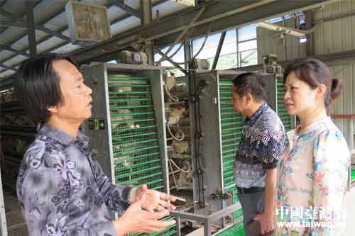 胡琳主任(右一)認直聽取情況介紹 胡琳主任(右一)認直聽取情況介紹