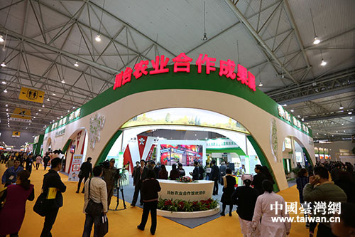 川臺農業合作成果展館倍受關注。 川臺農業合作成果展館倍受關注。