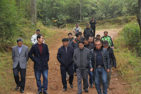 實地考察會澤縣魯納鄉農業項目基地 實地考察會澤縣魯納鄉農業項目基地