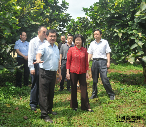 苻彩香副省長聽取金德豐負責人、臺商黃益豐情況介紹 苻彩香副省長聽取金德豐負責人、臺商黃益豐情況介紹