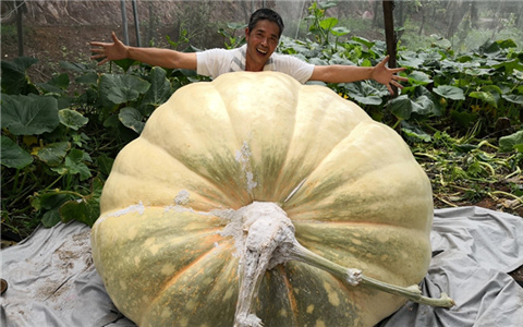 �_�r��÷�ݷN��1040���Ϲ� ���Ї������Ϲϼo�