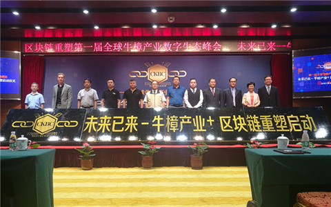 ��һ��ȫ��ţ���a�I�������B����ھ����_