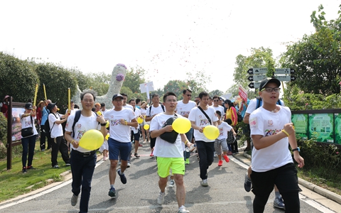 ��h�_�f�e�k2018�������x���