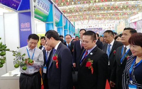 ��ʮһ���Ї�-�|�ˣ���ɫ���F(xi��n)���r(n��ng)�I(y��)չʾ���ו��ڏV���e��