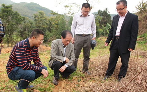 �V��ʡ��ɫ���_�k���_��l(f��)չ���\����