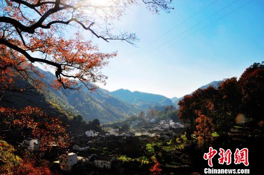 �ɰ����ИI(y��)(li��n)�x�������_Ļ����ɽ������l(xi��ng)��վ�_��