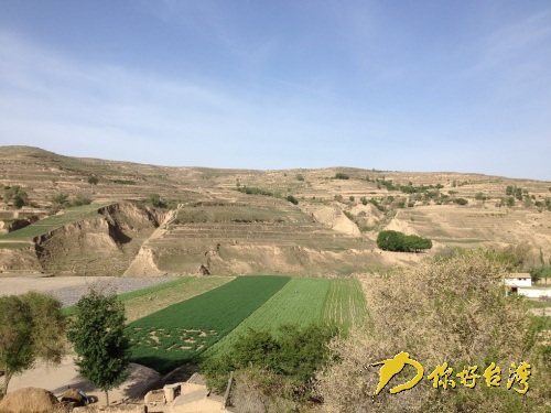 2014�ɰ��r�I���B�ؾ�ˇ�g���ڸ��C��������