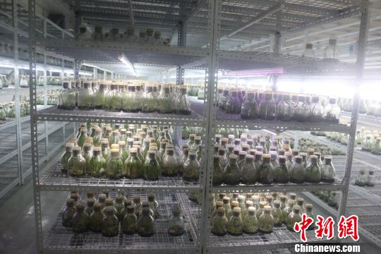 �_(t��i)���ڏV����(chu��ng)�I(y��)����(d��ng)�r(n��ng)���¸��a(ch��n)Ʒ���ږ|��