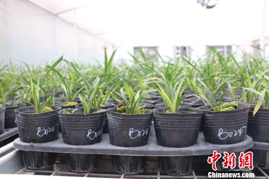 �D���ؔ(c��i)����