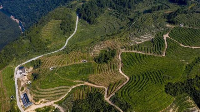 貴州新添14個全國地理標志農(nóng)產(chǎn)品,你pick哪一個?