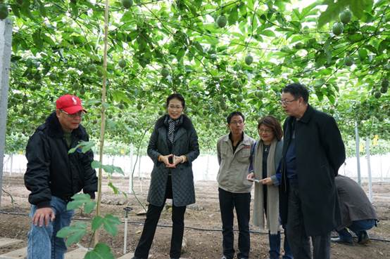 �f��: ǭ����5.jpg