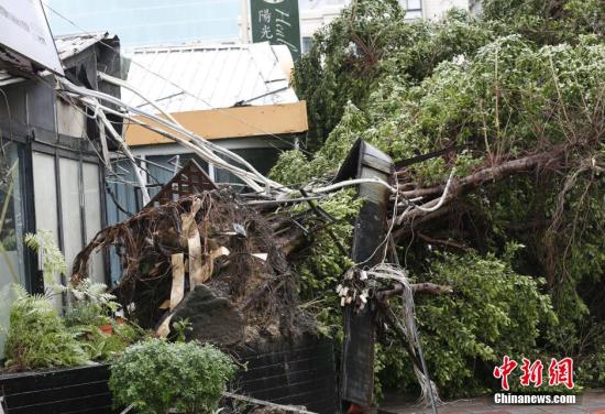 8��8����������_�L(f��ng)���K���_�����_���Q���K���ա�����ꑲ��S�󡰙M�����_����ȫ�_���ش��ܛ_��������8������1�r30�֣�����6������4��ʧۙ��101���܂����D��һ�w��䱻�B�������� <a target='_blank' ><p  align=