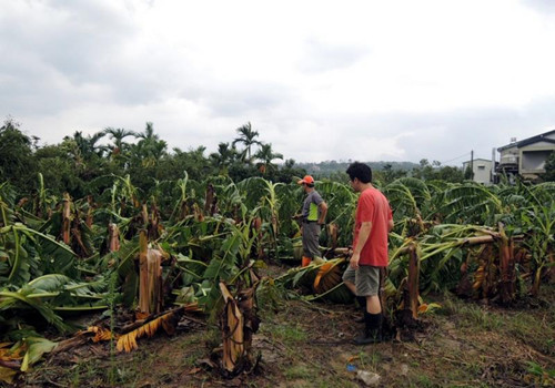 ���K���_�����_���r�I�pʧ���ظ߹٣��M��l������