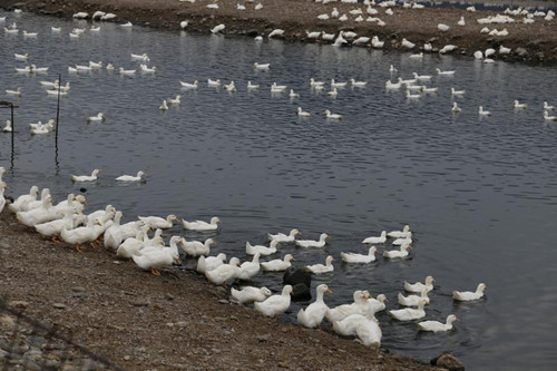 �_���ւ�������������x�h�䚢6064ֻ�������D��