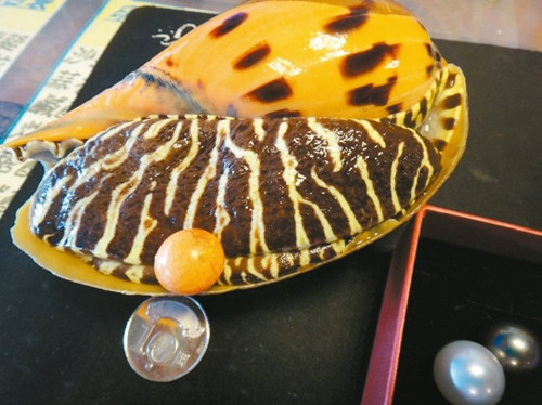 Ҭ���������������顱�_�����a���ϰ���쵽��