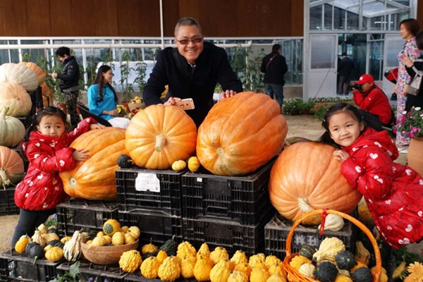 2016�V�|ʡ��ʮ��÷N�I���[���麣�֕����_���@�_Ļ