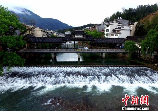 �����������fί�T���Ԍ��_���e�r�I�����������D��