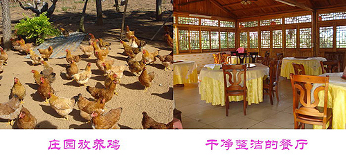 臺(tái)資企業(yè)東坡莊園 市民休閑度假的好去處