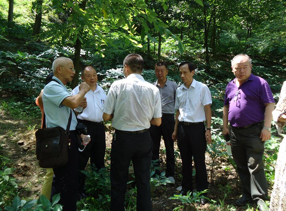 ����_�̅f������Ϫ�h����ħ��a�I