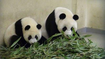 �_���a�I�֣����A�С��ڙ���Ʒ����߅Ч��5�|�_��