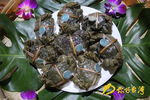 �����Ƴ���ꑌ���ָ���ă��|���lз