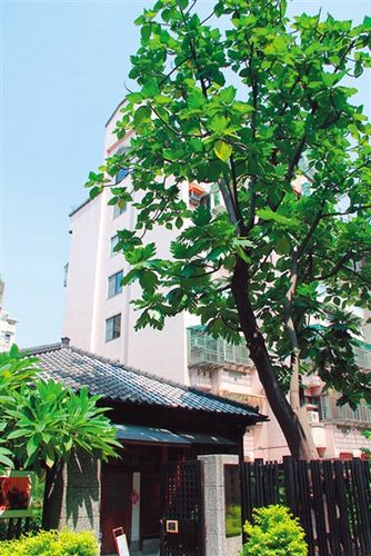 ����������һֱ�����Tǰ�@������䡣