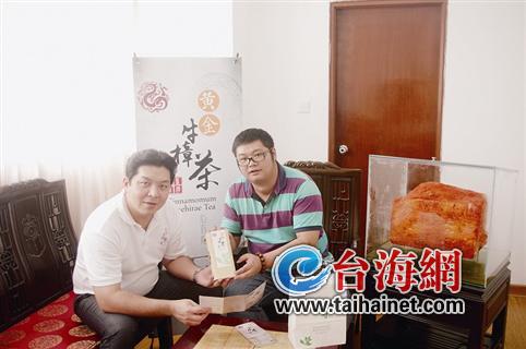 臺商與廈門“合伙人”共推牛樟樹葉茶