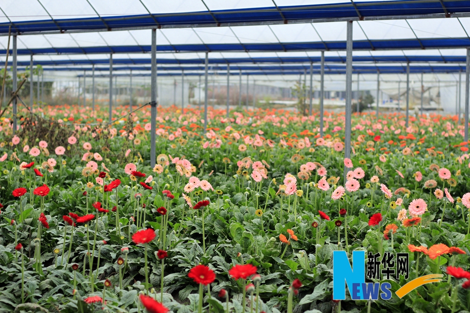 ���������}�_�r�I�����Ӱ� �_���@����¸���