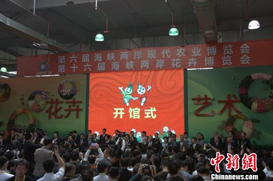 240����_��չ�ɰ��r������������