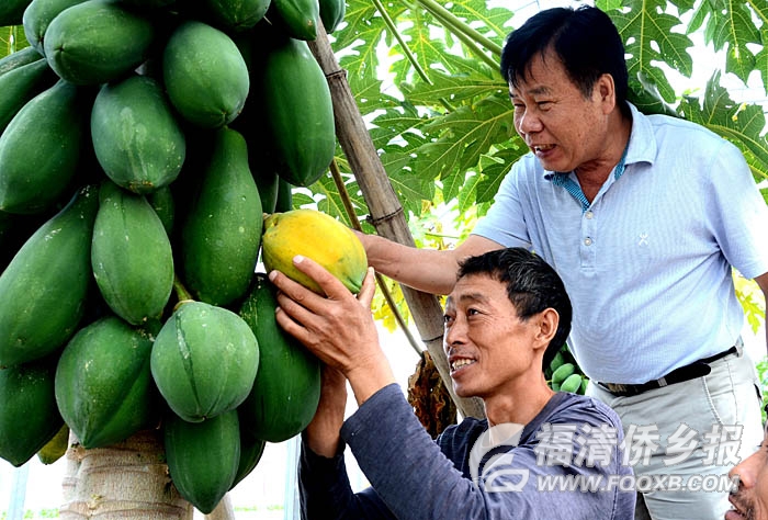 �����_(t��i)���r(n��ng)��(chu��ng)�I(y��)�@�^(q��)�ƏV�_(t��i)����(y��u)���߹�