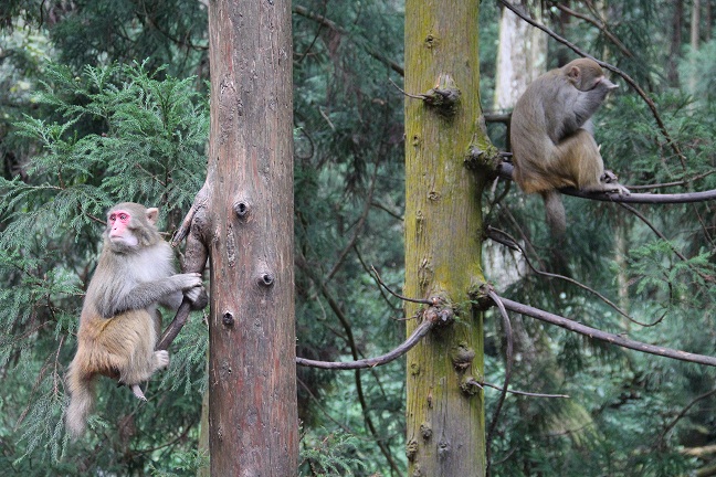 �_��ֱ�w���ҽ��p����  �ﶬ���ήa(ch��n)Ʒ�ܚgӭ