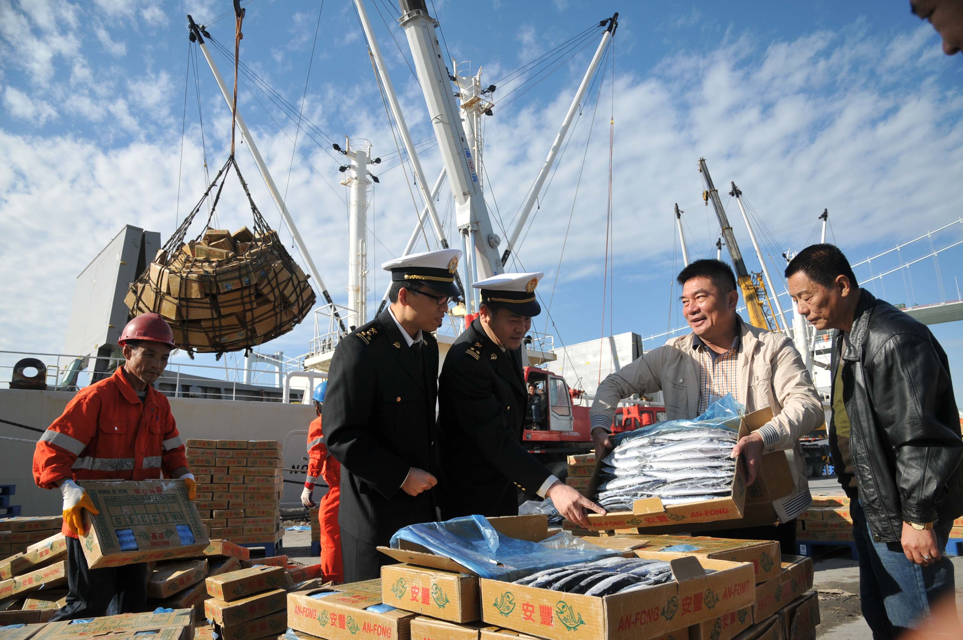 �B�T���P�Ž���������_��ֱ���M���ﵶ�~