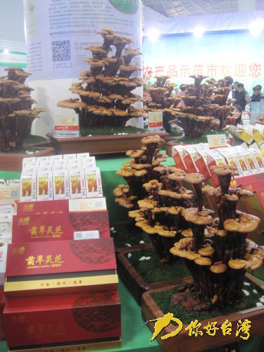 ��������չ���ĺ����خa(ch��n)