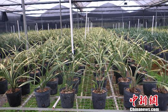 �_�����������ݴ��조�m���ۇ������Ӯ����r���¸�