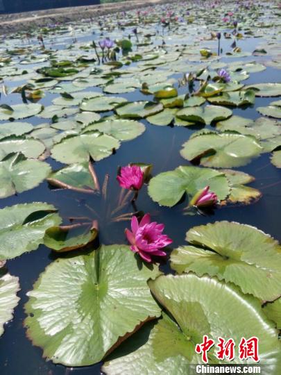 �_�������r(n��ng)��(ji��ng)���������޹ŵĴ��ɏ����