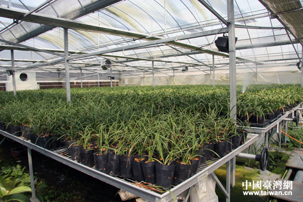 ���Տ]���_���r�I���I�@���_���m֮���r�I���B�@�����Ї��_���W ����Ȼ �z��