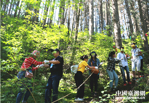 �ɵش�W���y�ִ�Խԭʼɭ��