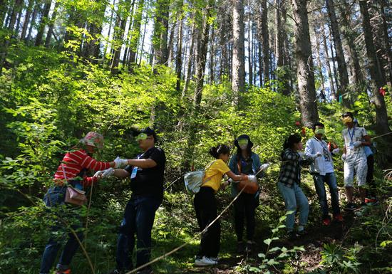 兩地大學(xué)生攜手穿越原始森林