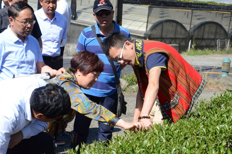 ���Ͽh�F���r�I�c�l�����ο���F���_����ɹ��S�T